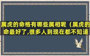 属虎的命格有哪些属相呢（属虎的命最好了,很多人到现在都不知道,你是其中一个吗）