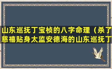 山东巡抚丁宝桢的八字命理（杀了慈禧贴身太监安德海的山东巡抚丁宝桢,结局如何）