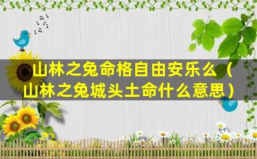 山林之兔命格自由安乐么（山林之兔城头土命什么意思）