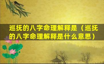 巡抚的八字命理解释是（巡抚的八字命理解释是什么意思）