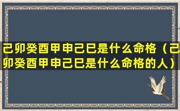 己卯癸酉甲申己巳是什么命格（己卯癸酉甲申己巳是什么命格的人）