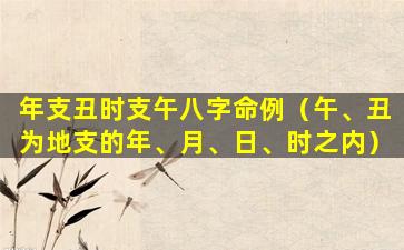 年支丑时支午八字命例（午、丑为地支的年、月、日、时之内）