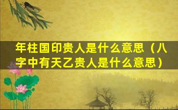 年柱国印贵人是什么意思（八字中有天乙贵人是什么意思）