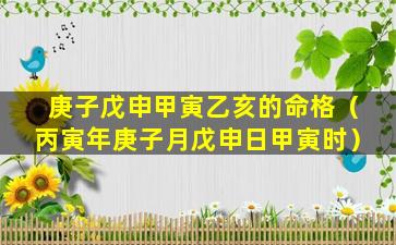 庚子戊申甲寅乙亥的命格（丙寅年庚子月戊申日甲寅时）