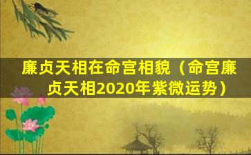 廉贞天相在命宫相貌（命宫廉贞天相2020年紫微运势）