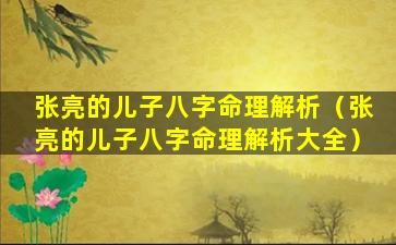 张亮的儿子八字命理解析（张亮的儿子八字命理解析大全）