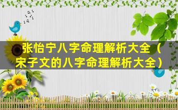 张怡宁八字命理解析大全（宋子文的八字命理解析大全）