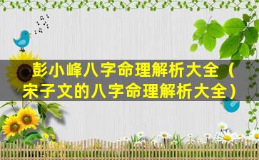 彭小峰八字命理解析大全（宋子文的八字命理解析大全）