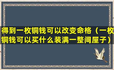 得到一枚铜钱可以改变命格（一枚铜钱可以买什么装满一整间屋子）