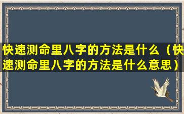 快速测命里八字的方法是什么（快速测命里八字的方法是什么意思）