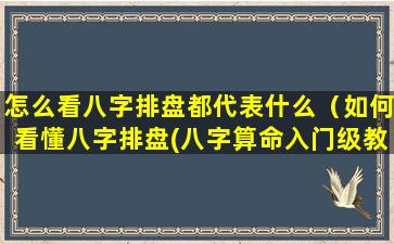 怎么看八字排盘都代表什么（如何看懂八字排盘(八字算命入门级教程)精编版）