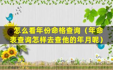 怎么看年份命格查询（年命表查询怎样去查他的年月呢）