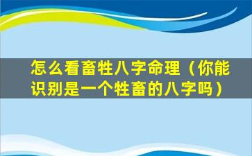 怎么看畜牲八字命理（你能识别是一个牲畜的八字吗）