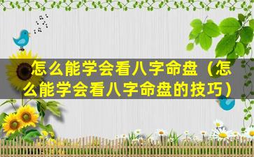 怎么能学会看八字命盘（怎么能学会看八字命盘的技巧）