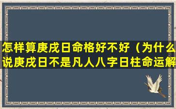 怎样算庚戌日命格好不好（为什么说庚戌日不是凡人八字日柱命运解析）