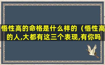 悟性高的命格是什么样的（悟性高的人,大都有这三个表现,有你吗）