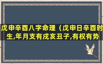 戊申辛酉八字命理（戊申日辛酉时生,年月支有戌亥丑子,有权有势）