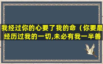 我经过你的心要了我的命（你要是经历过我的一切,未必有我一半善良）