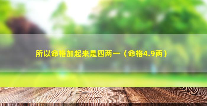 所以命格加起来是四两一（命格4.9两）