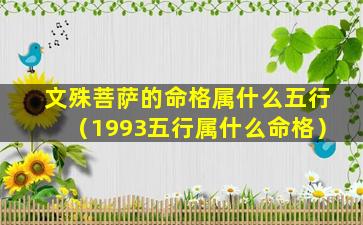 文殊菩萨的命格属什么五行（1993五行属什么命格）