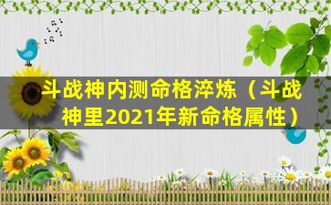 斗战神内测命格淬炼（斗战神里2021年新命格属性）