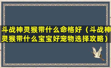 斗战神灵猴带什么命格好（斗战神灵猴带什么宝宝好宠物选择攻略）