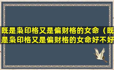 既是枭印格又是偏财格的女命（既是枭印格又是偏财格的女命好不好）