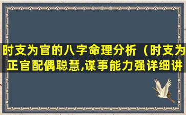 时支为官的八字命理分析（时支为正官配偶聪慧,谋事能力强详细讲解）