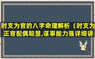 时支为官的八字命理解析（时支为正官配偶聪慧,谋事能力强详细讲解）