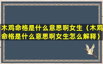 木鸡命格是什么意思啊女生（木鸡命格是什么意思啊女生怎么解释）