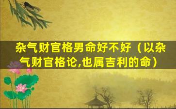 杂气财官格男命好不好（以杂气财官格论,也属吉利的命）