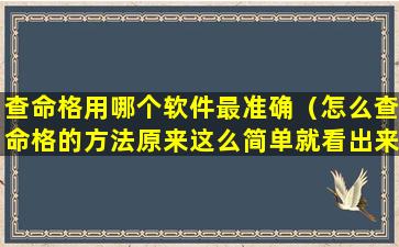 查命格用哪个软件最准确（怎么查命格的方法原来这么简单就看出来了）