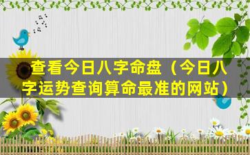 查看今日八字命盘（今日八字运势查询算命最准的网站）