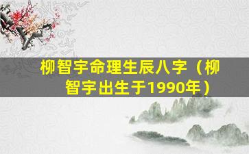 柳智宇命理生辰八字（柳智宇出生于1990年）