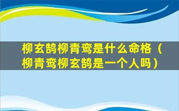 柳玄鹄柳青鸾是什么命格（柳青鸾柳玄鹄是一个人吗）