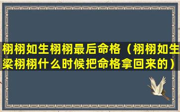 栩栩如生栩栩最后命格（栩栩如生梁栩栩什么时候把命格拿回来的）