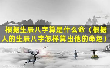 根据生辰八字算是什么命（根据人的生辰八字怎样算出他的命运）