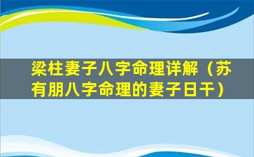 梁柱妻子八字命理详解（苏有朋八字命理的妻子日干）