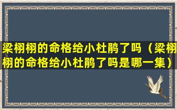 梁栩栩的命格给小杜鹃了吗（梁栩栩的命格给小杜鹃了吗是哪一集）