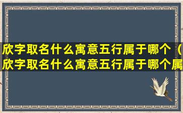 欣字取名什么寓意五行属于哪个（欣字取名什么寓意五行属于哪个属性）