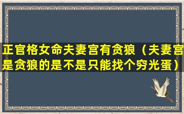 正官格女命夫妻宫有贪狼（夫妻宫是贪狼的是不是只能找个穷光蛋）