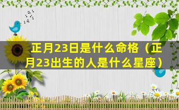 正月23日是什么命格（正月23出生的人是什么星座）