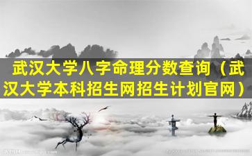 武汉大学八字命理分数查询（武汉大学本科招生网招生计划官网）