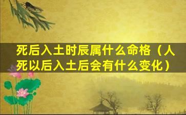 死后入土时辰属什么命格（人死以后入土后会有什么变化）