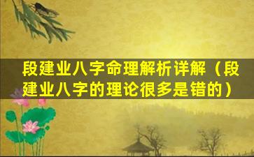 段建业八字命理解析详解（段建业八字的理论很多是错的）