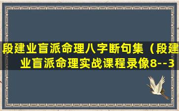 段建业盲派命理八字断句集（段建业盲派命理实战课程录像8--3）