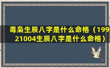 毒枭生辰八字是什么命格（19921004生辰八字是什么命格）