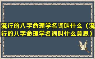 流行的八字命理学名词叫什么（流行的八字命理学名词叫什么意思）