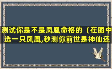 测试你是不是凤凰命格的（在图中选一只凤凰,秒测你前世是神仙还是凡人）