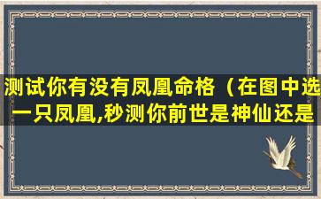 测试你有没有凤凰命格（在图中选一只凤凰,秒测你前世是神仙还是凡人）